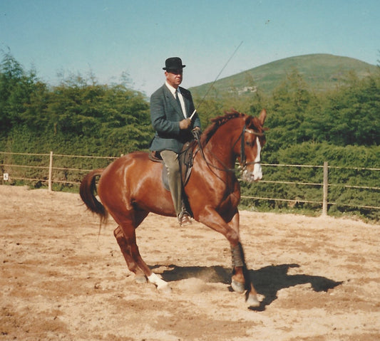 Nuno Oliveira: prodigiosa intelligenza equestre.