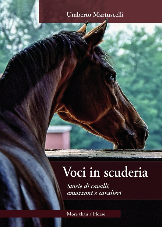Voci in scuderia. Storie di cavalli, amazzoni e cavalieri