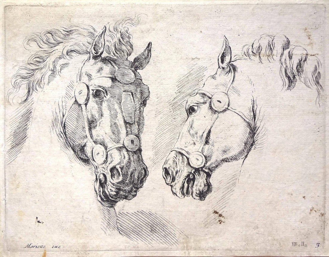 Cavalcando la storia: 3 libri per appassionati di storia dell'equitazione